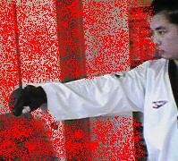 punch.jpg (14459 bytes)