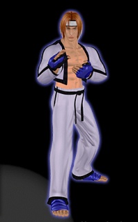 taekwondo.jpg (13999 bytes)